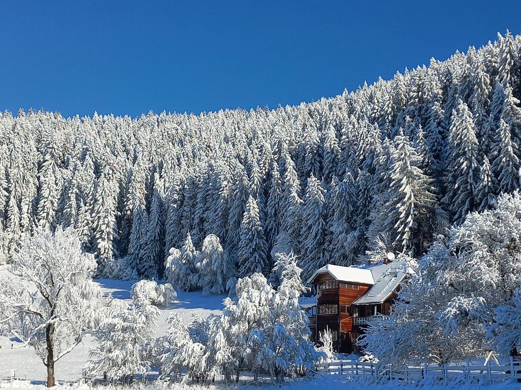Liebenfels Steurer Hof 아파트 외부 사진