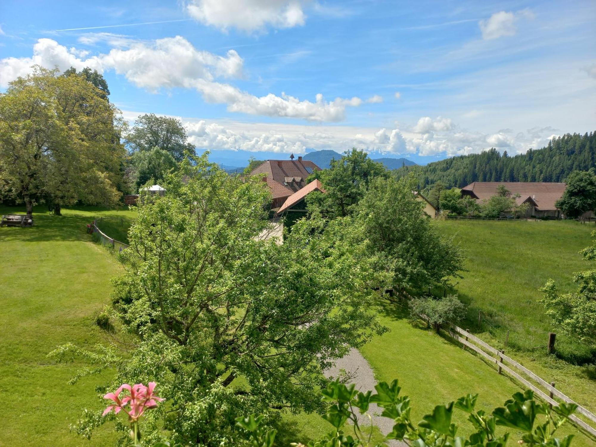 Liebenfels Steurer Hof 아파트 외부 사진