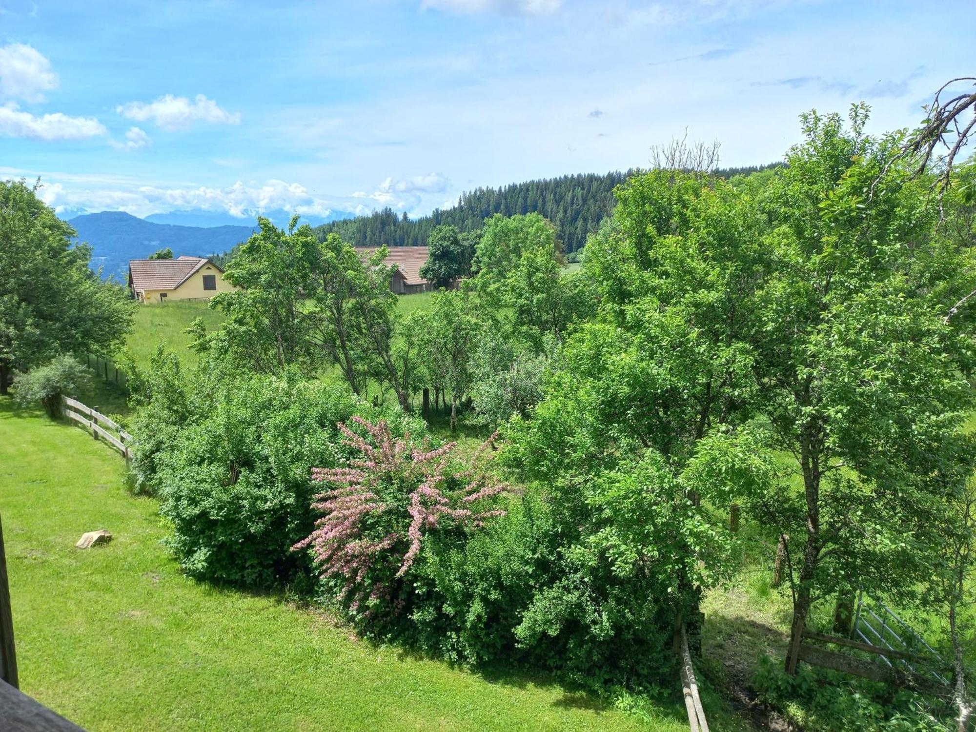 Liebenfels Steurer Hof 아파트 외부 사진